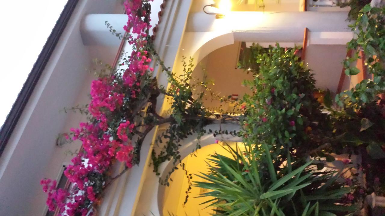 Villaggio Albergo Da Ciccio Sul Mare كابو فاتيكانو المظهر الخارجي الصورة